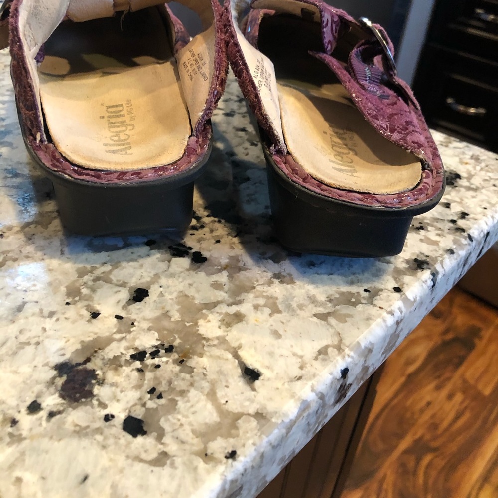 Alegria Alg-924 Plum Classic Leather Clogs 38 View 3